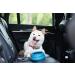 Ohmo Dog Travel Bowl - 700ml Portable Water Bowl for Road Trips Anti-Sloppy Foldable Pet Bowl Unique Blue-Green Design Perfect Travel Accessories for Dogs - Buy Online on GoSupps.com