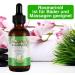 P-Beauty Rosemary Oil | Essential Oil for Hair Growth | Bio & Vegan | Pure Quality | 60ml | Ideal for Scalp Hair & Massage - Buy Online on GoSupps.com
