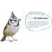Elles Meisenkn del 6-Pack 100% Natural Energy-Rich Wild Bird Food | Nut-Free & Eco-Friendly Beak-Friendly Treats - Buy Online on GoSupps.com