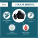 Bixa BOTANICAL Shilajit Dry Extract - 40% Fulvic Acid | Gravimetry - Buy Online on GoSupps.com