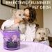Lavender & Lilac Blossom Odor Eliminating Candle - Premium Soy Candle Gift Set | Eliminates 99% of Pet, Smoke & Food Smells | Highly Fragranced Candle for Women - Buy Online on GoSupps.com
