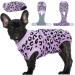Kuoser Dogebody after op op body dog Katzenbody dog body after castration male breathable dog body after op bitch e-neck band Alternative after dog body operation anti-wound licking op dog body s purple
