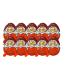Kinder Joy Harry Potter Quidditch 2024 Edition (10-pack & 1x HLKauf-Block)