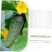 Yardwe 4pcs Shaped Fruit Vegetable Shaping Shaper Small Fruit Multifunction - Buy Online on GoSupps.com