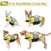 Alagirls Dog Life Jacket | Puppy Rescue Vest for Small & Medium Dogs | Secure & Stylish Yellow Pet Vest for Swimming Pool & Boating (40-50cm Chest) - Buy Online on GoSupps.com