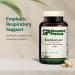 Standard Process Emphaplex - Respiratory System Supplement for Antioxidant Support - for Cellular Energy Support & Nervous System Health - 90 Capsules (45 Servings) - Buy Online on GoSupps.com