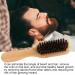 Wild Boar Beard Brush for Stiff Hair - Natural Wooden Brush for Men | Elastic Soft & Stiff Bristles for Beard & Mustache Grooming - Buy Online on GoSupps.com