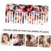 POPETPOP 1PC hair comb haircut combs cellulose combs Household Comb detangling hair brush detangling comb leopard hair teasing comb Hair Bang Comb Miss hair straightener curls plate vinegar - Buy Online on GoSupps.com