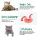 6-Piece Silvervine Catnip Wall Balls - Edible, Rotatable, and Safe Cat Treat Toys with 3 Flavors for Teeth Cleaning and Biting - Buy Online on GoSupps.com
