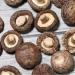 Shiitake Mushroom Dried Xianggu (100g(0.22pounds)) - Buy Online on GoSupps.com