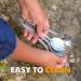 Tapirus Stainless Steel Classic Sporks Set of 4 - Camping, Hiking, Backpacking - Heavy Duty, Fire Proof - Long Handle, Reusable, Travel Case - Buy Online on GoSupps.com