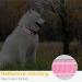 Heele Reflective Dog Collar | Soft Neoprene Padded Nylon for Small to Large Dogs | Adjustable 40-66 cm | Pink - Buy Online on GoSupps.com
