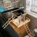 MEISH Wooden Ladder for Parrots with Five Rugs Wooden Ladder Cage Hanging Bird Climbing Toys Parrot Step Ladders for Bird parrot hamster - Buy Online on GoSupps.com