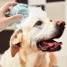 Molain Silicone Pet Bath Brush Comb - Grooming & Massage Tool with Shampoo Dispenser (Blue Paw Shape) - Buy Online on GoSupps.com