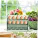 LABRIMP Holder Space Egg Refrigerator Case Fridge Tray Home Household Side Organizer Shop For Plastic 25.2X19.5CM As Shown 1 - Buy Online on GoSupps.com