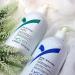 Lycotane Pre-Wax Cleanser 500ml - Jasmine & Chamomile | Vegan & Gluten-Free Skin Treatment for Home and Salon Use - Buy Online on GoSupps.com