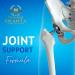 Joint Matrix PRO - msm Powder Joint Health Flexibility and Comfort Glucosamine Sulfate Mobility & Cartilage antioxidant New Zealand Green Lipped Sea Mussel - 1 Bottle - Buy Online on GoSupps.com