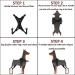 Musonic No Pull Dog Harness Breathable Adjustable Comfort Free Lead Included for Small Medium Large Dog Best for Training Walking S Pink S (Pack of 1) Pink - Buy Online on GoSupps.com