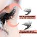 Magnetic Eyelashes with Applicator Magnetic Lashes for Eye Makeup Natural False Eyelashes Magnetic Magnetic Eyeliner Easy to Use & No Glue Needed Natural Eyelashes Kit Fox Eye Lashes for Women-1 Pair - Buy Online on GoSupps.com
