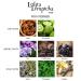 Lolita Lempicka Mon Premier Ladies - Eau De Parfum Spray For Women - Notes of Licorice Violet & Anise - Limited Edition Mon Printemps Monet Style Bottle - 3.4 Oz - Buy Online on GoSupps.com