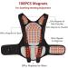 Back Support Back Brace Lumbar Support Elf Heating Full Back Support Belt 108pcs Magnets Self-Heating Waist Back Brace Vest Back Support Belt(Large) Large Black - Buy Online on GoSupps.com