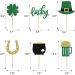 24 PCS St Patrick's Day Cupcake Toppers Glitter Lucky Four Leaf Clover Beer Cupcake Picks for St Patrick's Day Shamrock Theme Baby Shower Birthday Party Cake Decorations (6 styles) Design-6 - Buy Online on GoSupps.com
