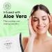 Cleen Beauty Fragrance-Free Face Wipes - 6 Pack | Aloe Vera Makeup Remover Pads | Biodegradable & Paraben-Free | 25 Count - Buy Online on GoSupps.com