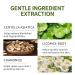 Dark Skin Exfoliating Oil Extra Strong Green for Hands Feet and Whole Body for at-home facial chemical exfoliation (220 ml/7.76 oz) - Buy Online on GoSupps.com