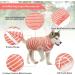 Ouuonno Healing Suits for Dogs | Surgical Relaxation for Abdominal Wounds | Spay & Skin Disease Recovery | Cone Alternatives (S Stripes Pink) - Buy Online on GoSupps.com