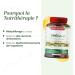 SUPERDIET - OMEGA 3 - DHA - EPA - Heart function - Wild fish oil - Nutritherapy - Packaged in France - 120 capsules - Buy Online on GoSupps.com