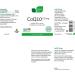 NICApur Coenzyme Q10 with KANEKA Q10 120 mg - High Dose 60 Capsules | Premium Antioxidant Supplement - Buy Internationally - Buy Online on GoSupps.com