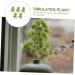 Cabilock 20 Pcs Simulated Pine Leaves Christmas Pine Picks Fern Garland Boutique Plastic Gift Dark Greenx4pcs mediumx4pcs - Buy Online on GoSupps.com