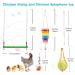 Woiworco Chicken Coop Accessories: 7 Pack Chicken Toys - Xylophone, Swing, Mirror, Pecking, Vegetable Feeder & More - Buy Online on GoSupps.com