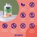 Bockshorn Clover Capsules - 2600mg Fenugreek High-Dose | 240 Vegan Capsules | Supports Breastfeeding | With Vitamin D & Iron | Lab Tested & No Additives - Buy Online on GoSupps.com