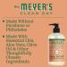 Buy MRS. MEYER'S CLEAN DAY Hand Soap - Essential Oils Biodegradable Geranium Scent 12.5 fl. oz | International Shipping Available - Buy Online on GoSupps.com