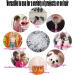Vrose Flosi - Elastic Rubber Band - No Pain - Hair Band Remover - 2000 Clear Rubber Bands Easy Grip Hair Accessories For Girls & Women - Buy Online on GoSupps.com