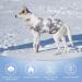 Cit toile Warm Winter Dog Sweater | Soft Knitted Turtleneck Pet Coat for Cold Weather | Color Gradient Design for Small & Medium Dogs | Blue XS X-Small - Buy Online on GoSupps.com