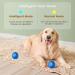 Interactive Cat Toy Ball - LED Light & 360 Self-Rotating - Navy Blue - Stimulation & Fun for Cats - Buy Online on GoSupps.com