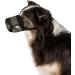 TRIXIE Poisoned Bait Protection Polyester - M/L 27 T17594 | Durable Safety Gear for Pets - Black - Buy Online on GoSupps.com
