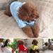 Fashion Dog Hoodie - Pure Cotton Streetwear for Small & Medium Dogs - Stylish Outfit in Light Blue/Pink - Buy Online on GoSupps.com