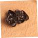 STAHAD 15pcs Model Agarics Vegetables Model Realistic Agarics Fake Agarics Realistic Food Props Fake Vegetables Realistic Vegetables Simulation Vegetables Pvc Decoration Fake Artificial Dark Brown 5.00X4.20X1.00CM - Buy Online on GoSupps.com