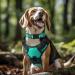 Joytale Reflective Dog Collar for Large & XL Dogs - Turquoise - Pack of 1 - International Shipping - Buy Online on GoSupps.com