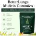 BetterLungs Mullein Leaf Extract and Gummies Bundle - Lung Health Support - Buy Online on GoSupps.com