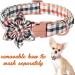 Unique Style Paws Flower Dog Collar - Adjustable Cotton Checkered Collar for Young Girls Comfortable Fit (M 34.3-55.9 cm) - International Shipping Available - Buy Online on GoSupps.com