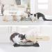 Coomatzu Waterproof Pet Bowl Pad for Cats & Dogs | Silicone Lining Mat | Hand Wash | 45x26cm Black - Buy Online on GoSupps.com