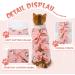 PUMYPOREITY Cat Recovery Suit - Pink Surgical Bandage Shirt for Neutered/Abdominal Wound - Pet Cone E-Collar Alternative for Kitten - Small (Pack of 1) - Buy Online on GoSupps.com