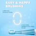 7AM2M Sonic Electric Toothbrush for Adults and Kids - 6 Brush Heads, 6 Modes, Smart Timer - Fast Rechargeable Toothbrush (Blue) - Buy Online on GoSupps.com