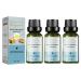 Essential oil plant extracts tightly care massage oil breast tightening breast enlargement essential oil enlargement lifting bust serum oil anti-sagging (3 pieces)