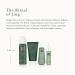 RITUALS Jing Calming Gift Set - Foaming Shower Gel, Body Scrub, Dry Body Oil & Sleep Mist - Sacred Lotus & Jujube | Small - Buy Online on GoSupps.com
