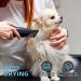 Dog Hair Dryer 3.8HP 2800W Pet Grooming Blower for Large Dogs - Heat Blaster with Stepless Speed & Strong Power Wind - Blue - Buy Online on GoSupps.com